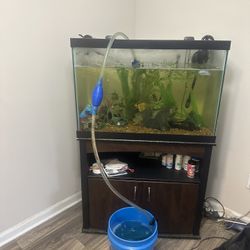 60 Gal Tank 