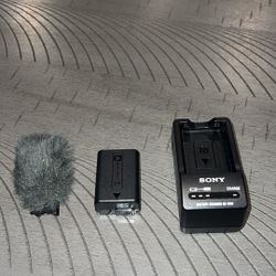 Sony  Zve10 Battery ,charger & Kit Mic