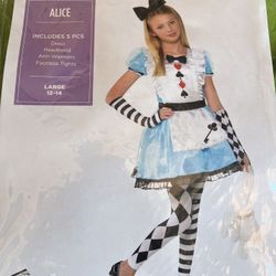 Alice In wonderland Girls Costume