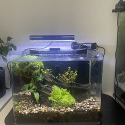 Whole Aquarium -Seamless Tank 6 Gallon 