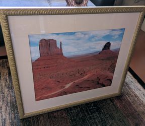 Beautiful Custom Framed Desert Print.