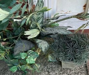Artificial Plants