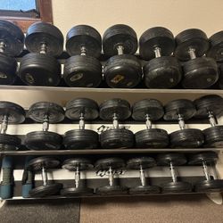 Hoist Rack + 750 Lbs In Dumbbells 