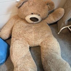 Big Teddy Bear