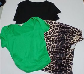 Lot of 4  Blouses Sizes Large, 0XL, XLarge , 1XL Used Great Condition Sold As Is $5.00 ea.
