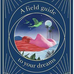 Night Vision: A Field Guide To Your Dreams 