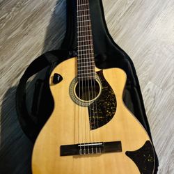 Electric Acoustic Guitar 