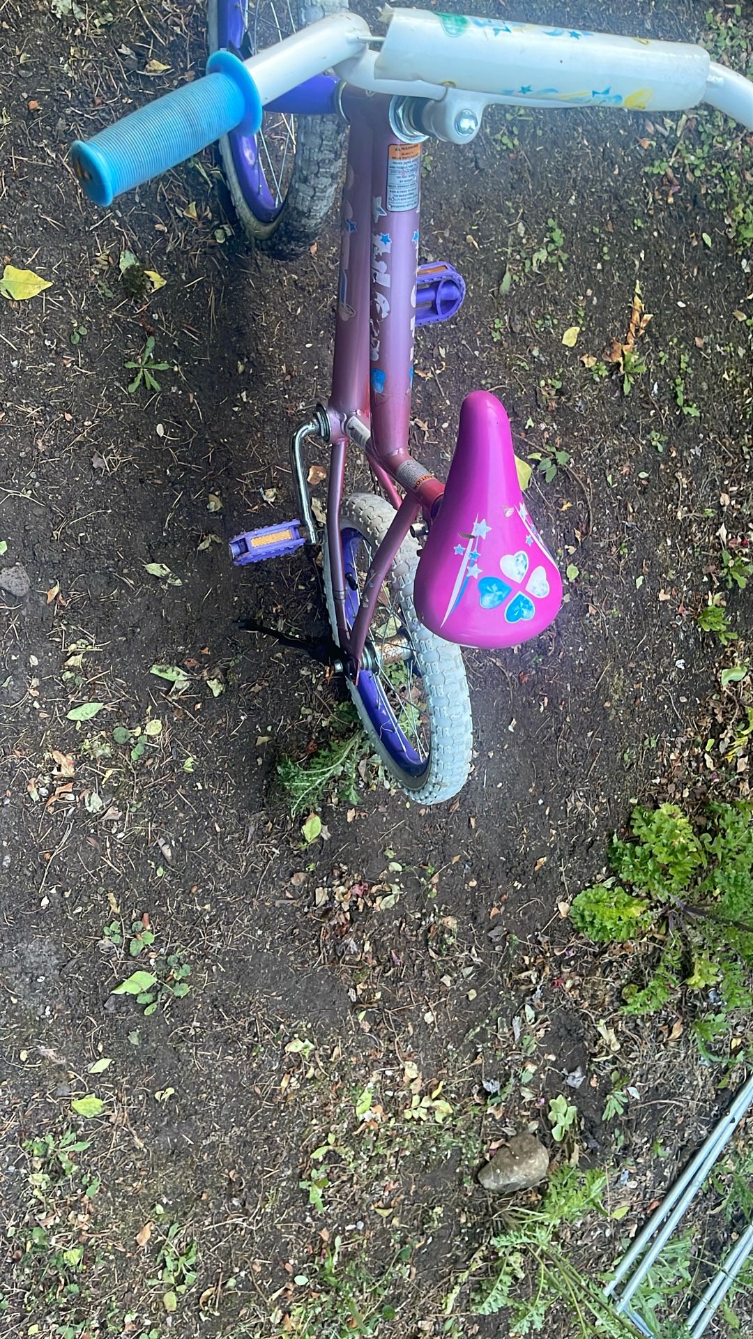Girls Bike