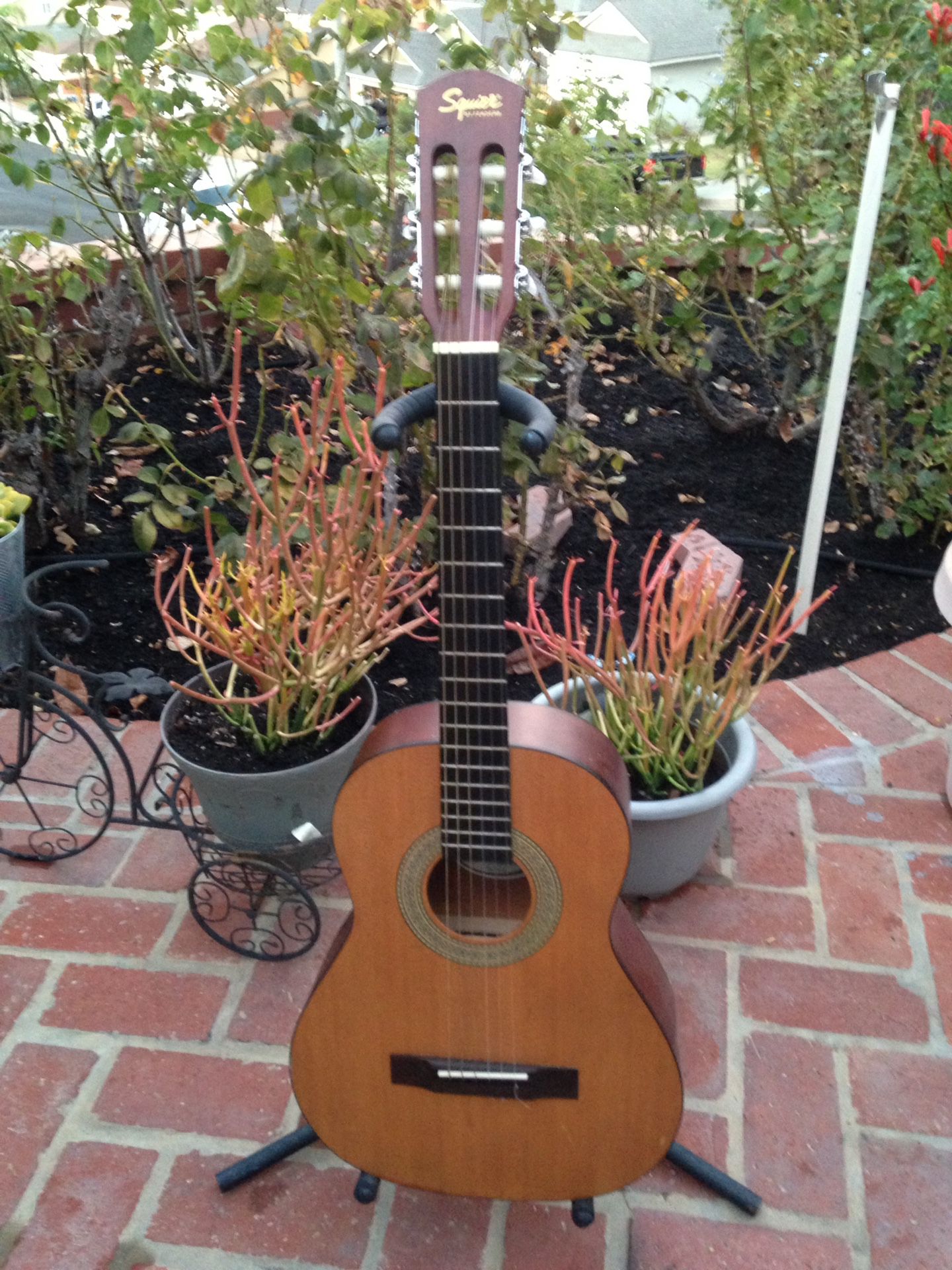 Fender Squier acoustic Classical nylon guitar