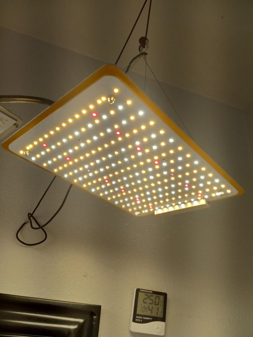 Grow Light For Indoor Or Tent