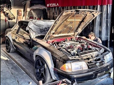 Foxbody tiger racing fender flares