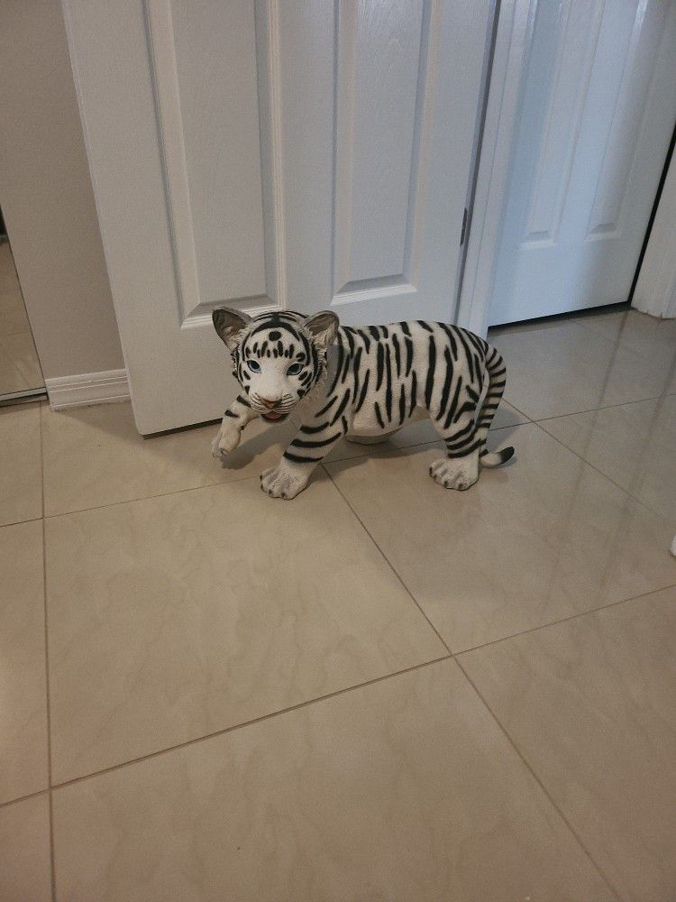 Baby Tiger