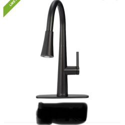 Allen + Roth Kitchen Faucet