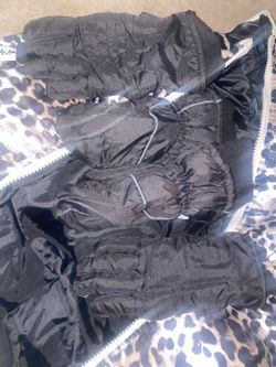 Snow Gloves 