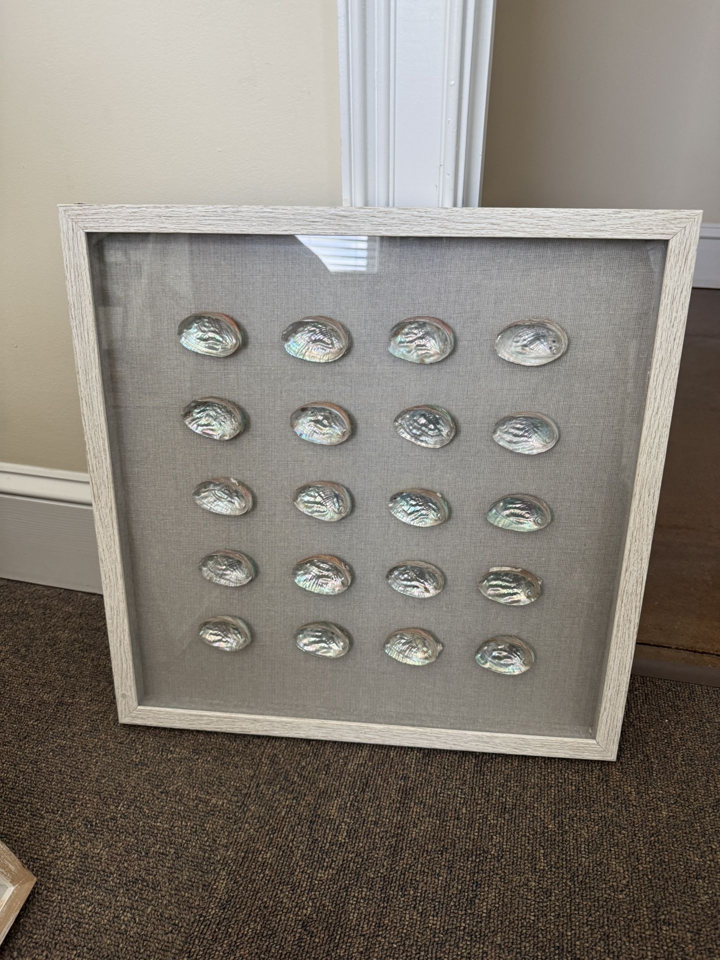 Seashell Wall Decor - Lot Of 3