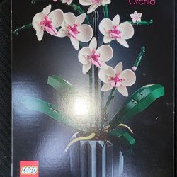 Lego Orachad 10311 (608 Pieces)