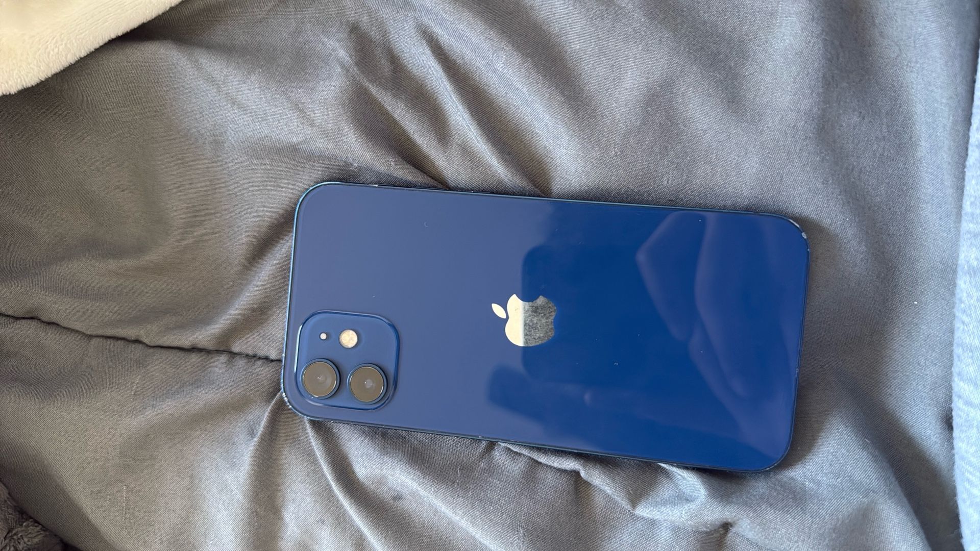 Blue iPhone 12 Pro Max