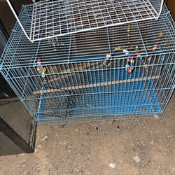 bird cage