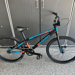 Harp Race Lite Pro 24 - Excellent Condition