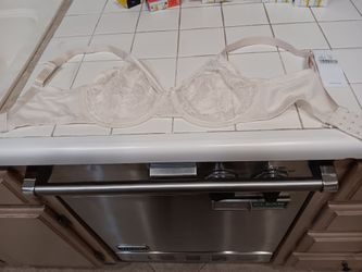 34DD Underwire Bra