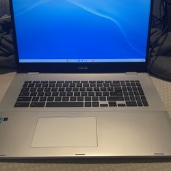 ASUS - 17.3" Chromebook - Intel Celeron N4500