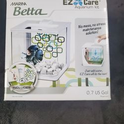 Betta Aquarium 