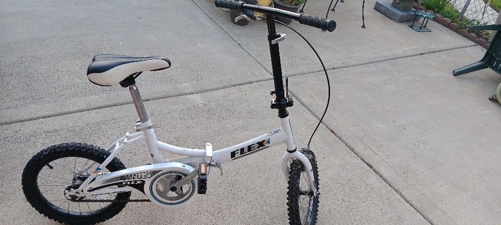 Flex Folding Bike
