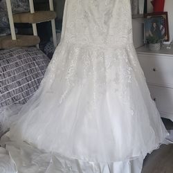 Wedding Dress( New)