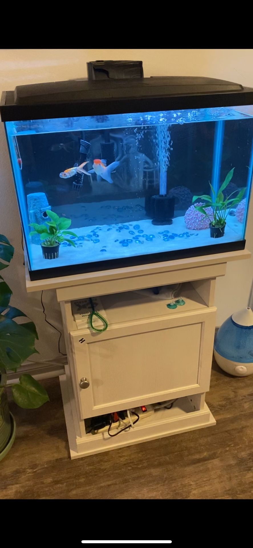 20 Gallon Fish Tank + Aquarium Stand
