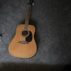 Mitchell guitar
