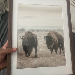Buffalo Art Work