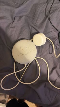 google home