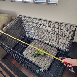 Pet Gate 