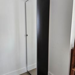 Closet With Full Height Mirror Door