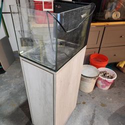 13 Gal Saltwater Setup