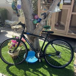 Trek Verve 2 Bicycle