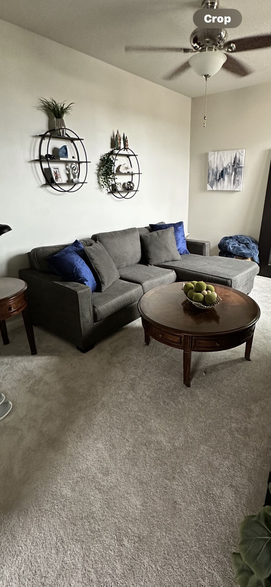 Living Spaces Sofa