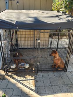 Dog kennel