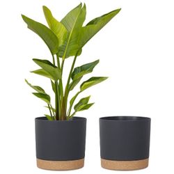 12inch Plant Pots for Plants, 2 Pack 12 Inch Pots for Plants, Lightweight Large Planters for Indoor Plants Outdoor Plants, Big Plastic Black Plant Pot