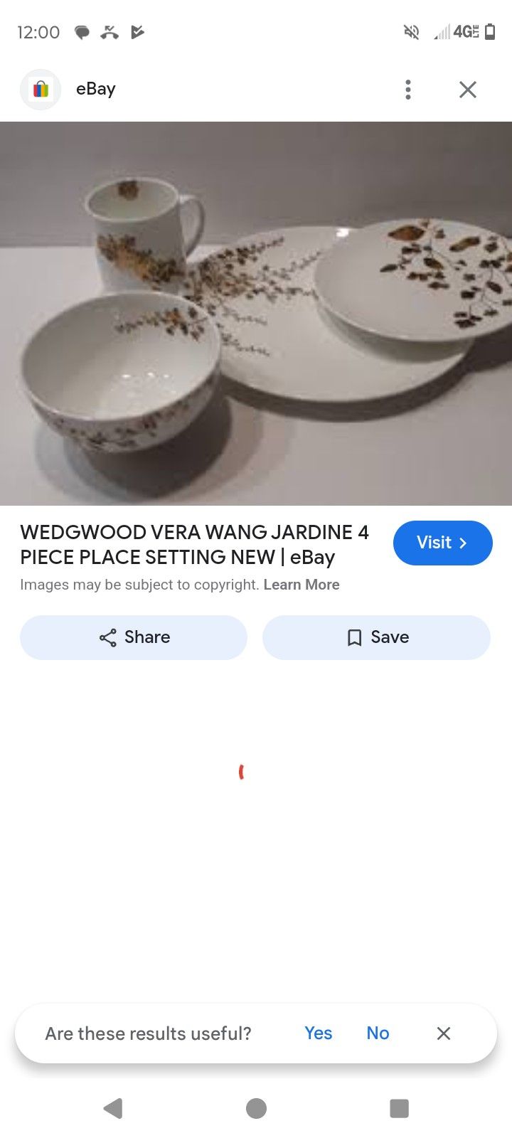WEDGEWOOD VERA WANG JARDINE 4 PIECE PLACE SETTING NEW
