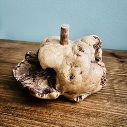 Mid-Century Tree Burl Root Desk Sculpture 6"