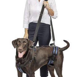 Senior Dog Harness