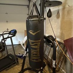 Everlast Punching Bag And Speed Bag