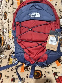 The Northface  Bag pack 