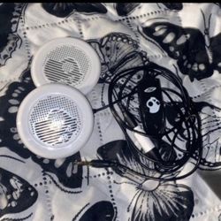 Skullcandy