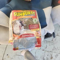 Guinea Pig Food