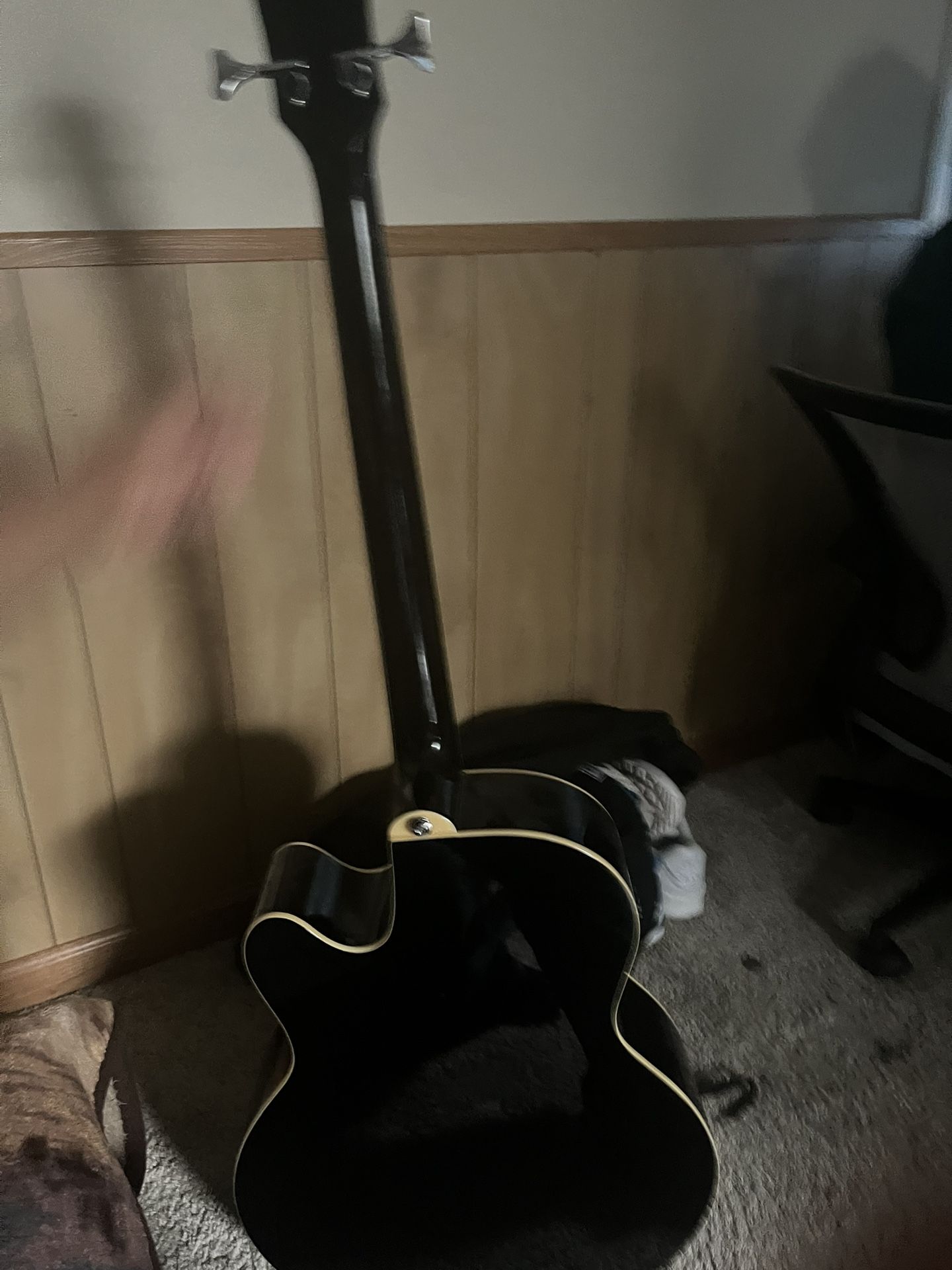 Bass Acoustic