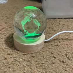 New Light Up Globe