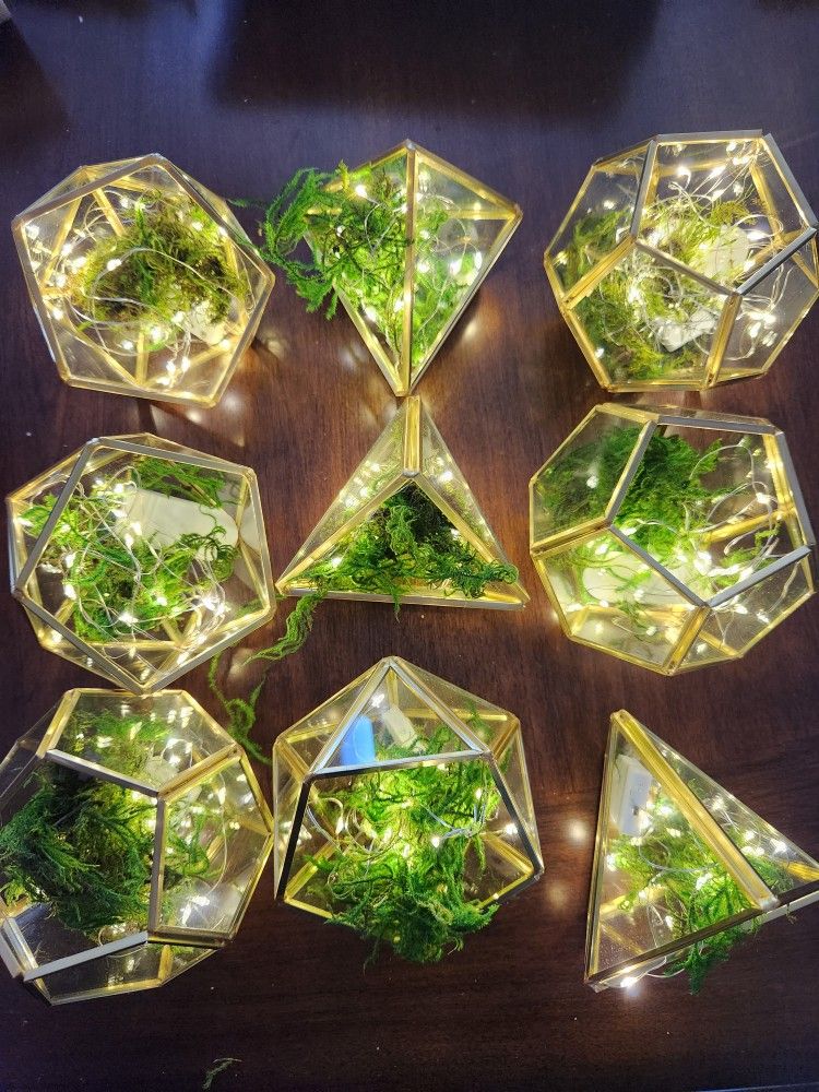 Moss Fairy Lanterns