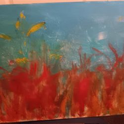 Swimming Over Coral Reef 